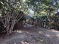 bizan1026_thumb.png