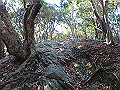 bizan1027_thumb.png