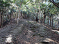 bizan1029_thumb.png