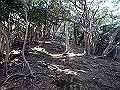 bizan1031_thumb.png