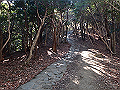 bizan1034_thumb.png