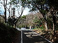 bizan1216_thumb.png