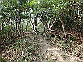 bizan1247_thumb.png