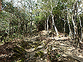 bizan1250_thumb.png