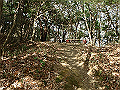 bizan1252_thumb.png