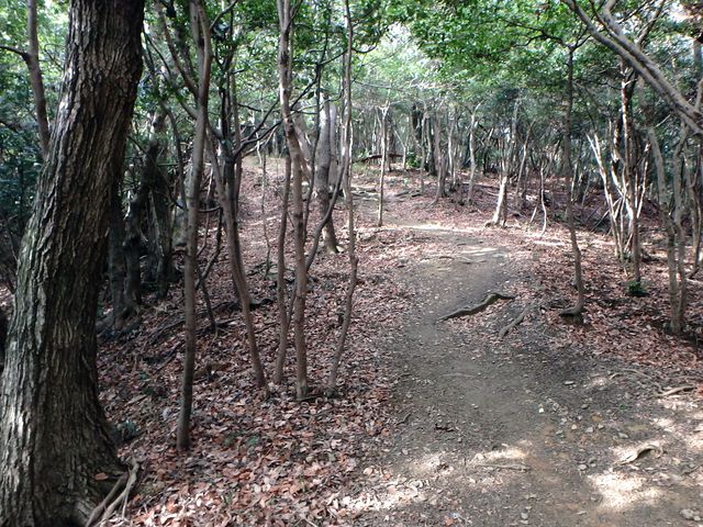 bizan1253.jpg