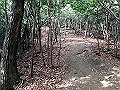 bizan1253_thumb.png