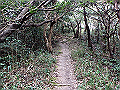 bizan1260_thumb.png