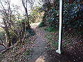 p2150006_thumb.png