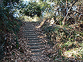 p2150010_thumb.png