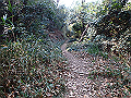 p2150011_thumb.png