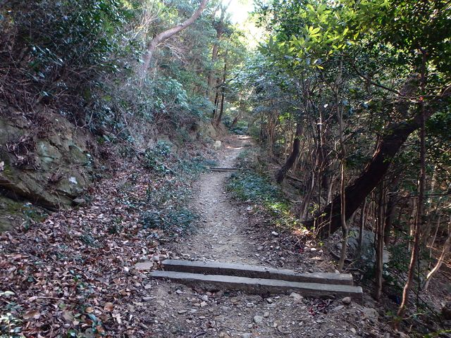 p2150012.jpg