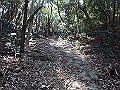 p2150014_thumb.png