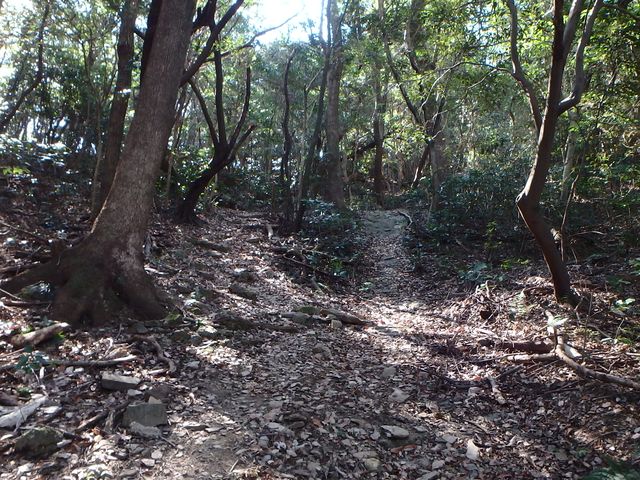 p2150015.jpg