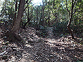 p2150015_thumb.png