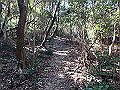 p2150016_thumb.png
