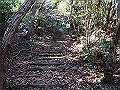 p2150017_thumb.png