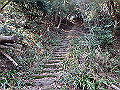 p2150018_thumb.png