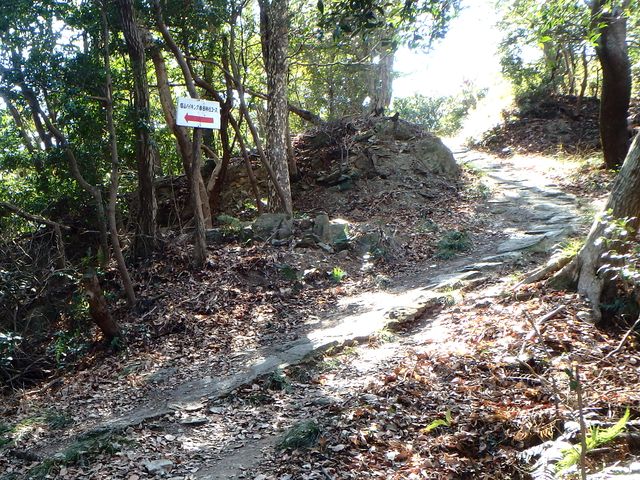 p2150021.jpg