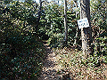 p2150024_thumb.png