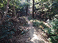p2150025_thumb.png