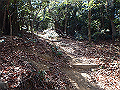 p2150026_thumb.png