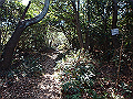 p2150027_thumb.png