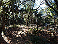 p2150028_thumb.png