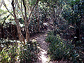 p2150029_thumb.png