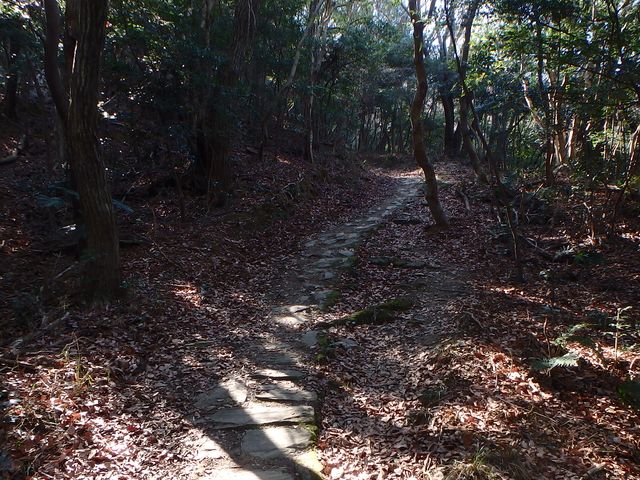 p2150030.jpg