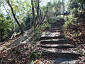 p2150034_thumb.png