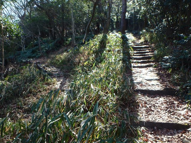 p2150035.jpg
