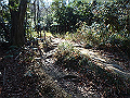p2150036_thumb.png