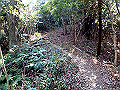 p2150037_thumb.png