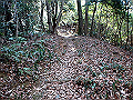 p2150038_thumb.png