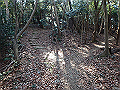 p2150039_thumb.png