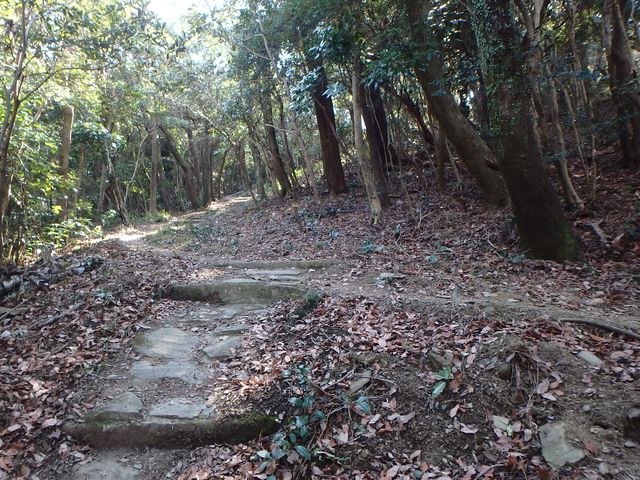 p2150041.jpg