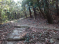 p2150041_thumb.png