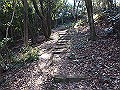 p2150043_thumb.png