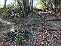 p2150044_thumb.png