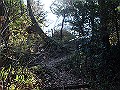 p2150045_thumb.png