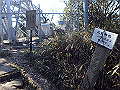 p2150046_thumb.png