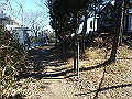 p2150047_thumb.png