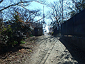 p2150049_thumb.png