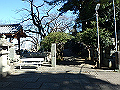 bizan1402_thumb.png