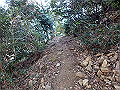 bizan1406_thumb.png