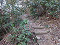 bizan1407_thumb.png