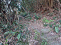 bizan1408_thumb.png