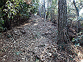 bizan1415_thumb.png