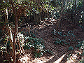 bizan1424_thumb.png